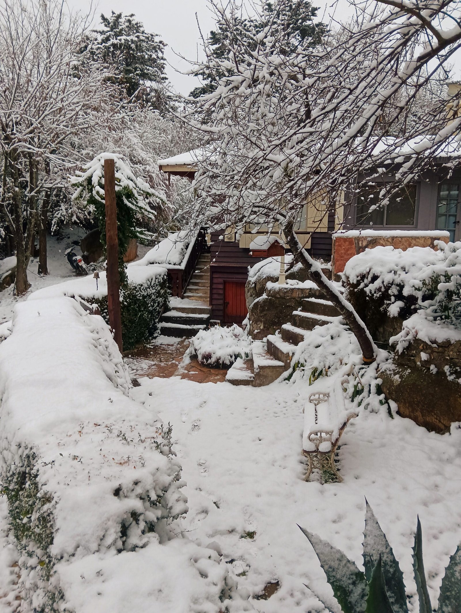 Atardecer en la cabaña